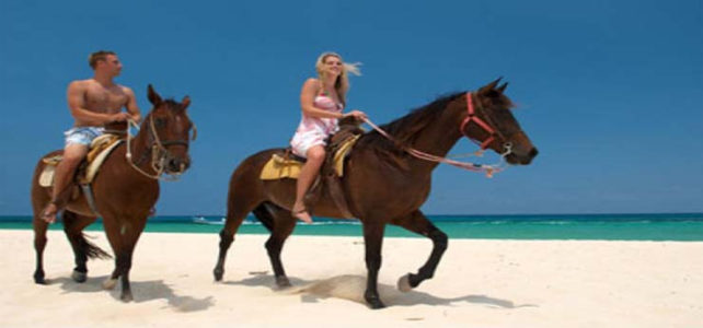 Beach Horseback Riding Tour Best Buy Tours Cozumel